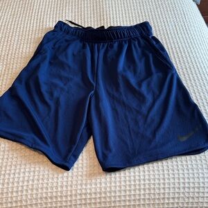 Nike Men's Navy Performance Shorts